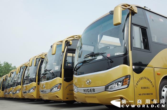 中山国生汽运中标珠港澳大桥运营标的的海格客车